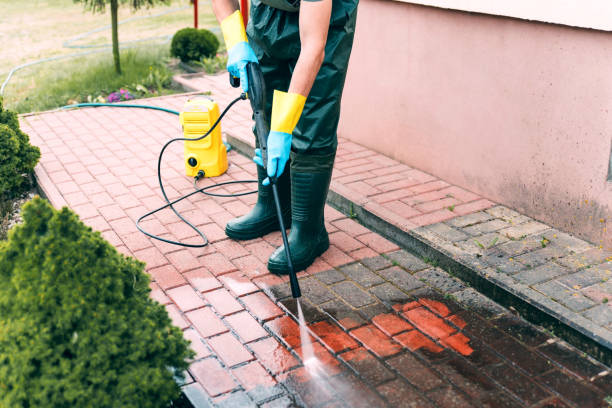 Best Patio and Deck Pressure Washing  in Maywood Park, OR